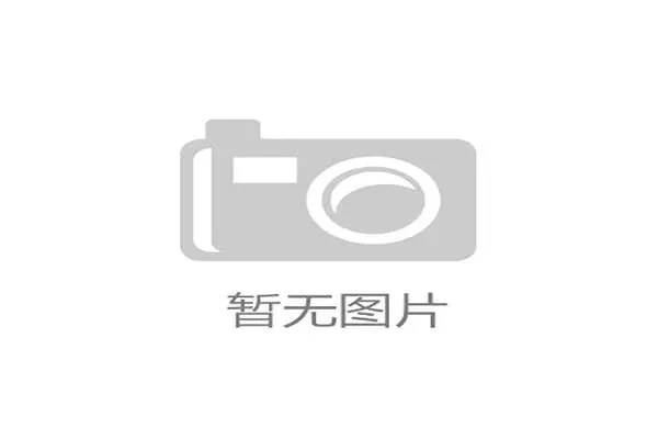 乌兹别克斯坦的战术体系简洁高效，或成为世界杯赛场上的搅局者。